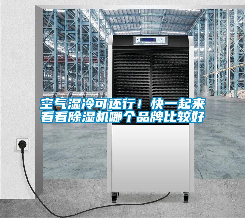 空氣濕冷可還行!快一起來看看除濕機哪個品牌比較好