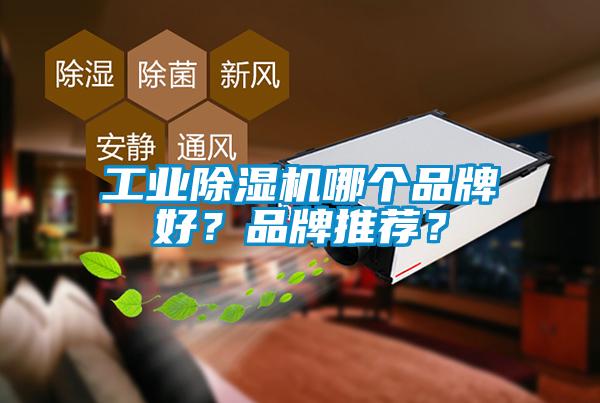 工業(yè)除濕機哪個品牌好？品牌推薦？