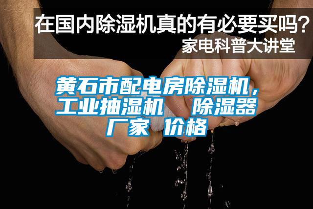 黃石市配電房除濕機,工業(yè)抽濕機  除濕器廠家 價格