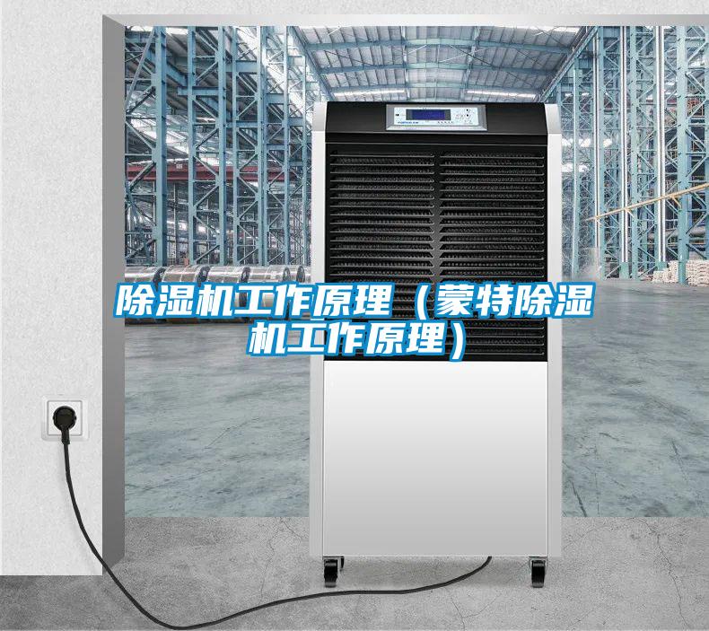 除濕機(jī)工作原理(蒙特除濕機(jī)工作原理)