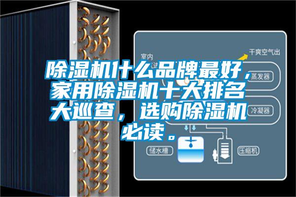 除濕機(jī)什么品牌最好，家用除濕機(jī)十大排名大巡查，選購除濕機(jī)必讀。