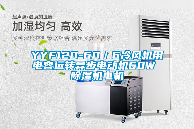 YYF120-60/6冷風(fēng)機(jī)用電容運(yùn)轉(zhuǎn)異步電動(dòng)機(jī)60W 除濕機(jī)電機(jī)