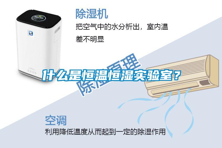 什么是恒溫恒濕實驗室?