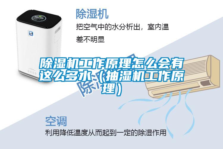 除濕機工作原理怎么會有這么多水(抽濕機工作原理)