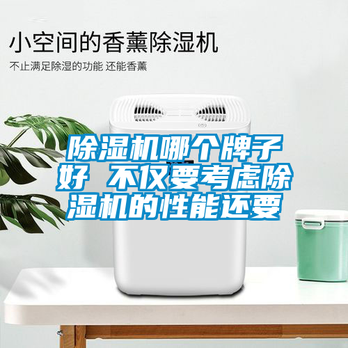 除濕機(jī)哪個牌子好 不僅要考慮除濕機(jī)的性能還要