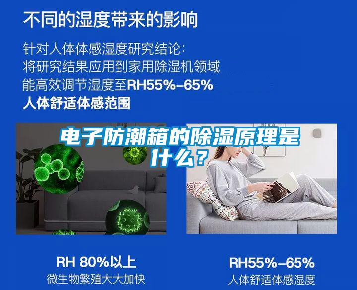 電子防潮箱的除濕原理是什么？