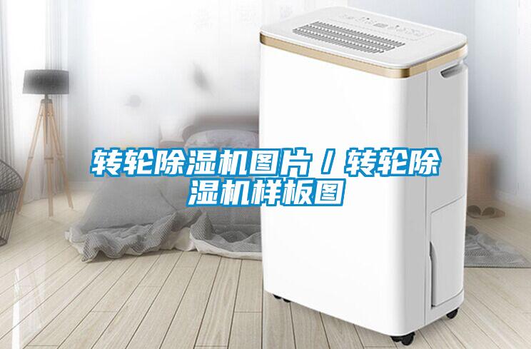 轉輪除濕機圖片/轉輪除濕機樣板圖