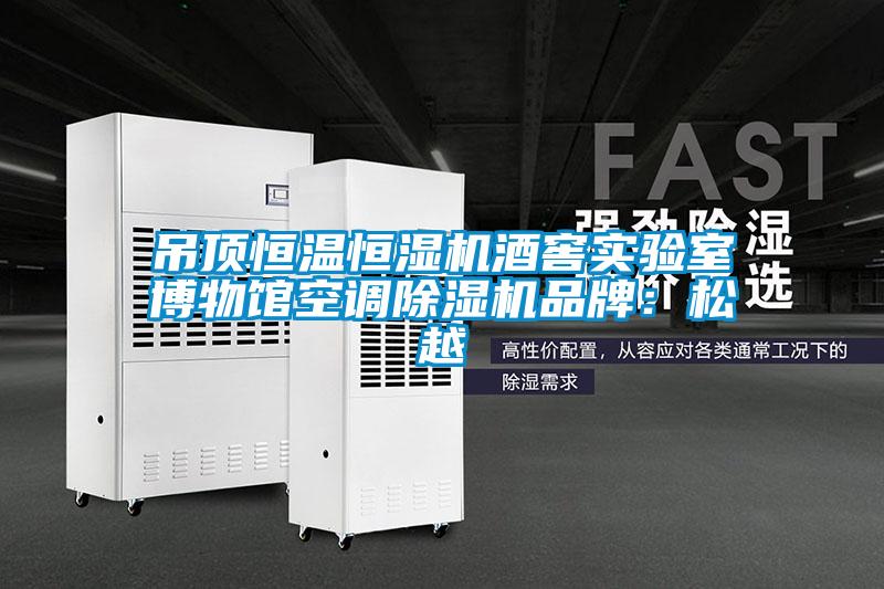 吊頂恒溫恒濕機酒窖實驗室博物館空調(diào)除濕機品牌:松越