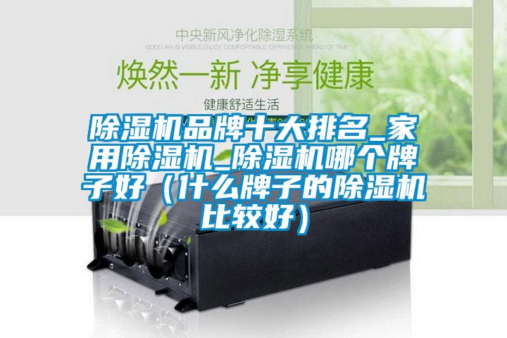 除濕機(jī)品牌十大排名_家用除濕機(jī)_除濕機(jī)哪個(gè)牌子好(什么牌子的除濕機(jī)比較好)