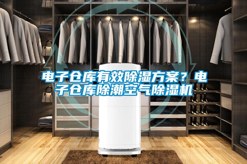 電子倉庫有效除濕方案?電子倉庫除潮空氣除濕機(jī)