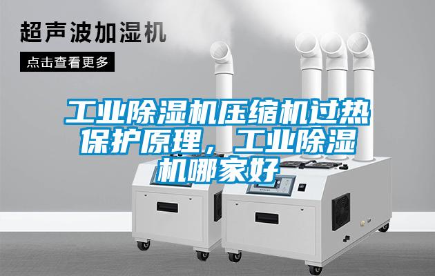 工業除濕機壓縮機過熱保護原理,工業除濕機哪家好
