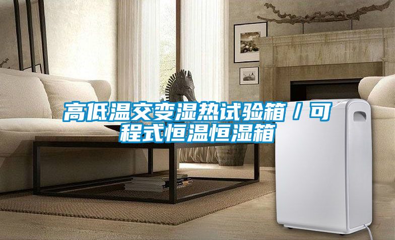 高低溫交變濕熱試驗箱/可程式恒溫恒濕箱