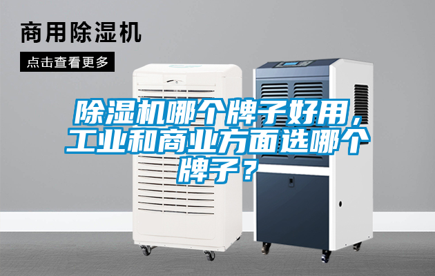 除濕機哪個牌子好用,工業和商業方面選哪個牌子?