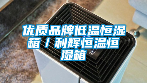 優(yōu)質(zhì)品牌低溫恒濕箱/利輝恒溫恒濕箱