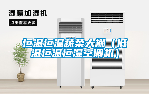 恒溫恒濕蔬菜大棚(低溫恒溫恒濕空調機)