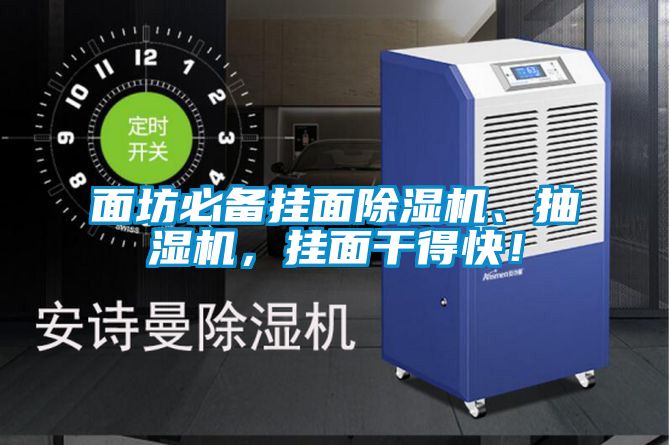 面坊必備掛面除濕機、抽濕機,掛面干得快!