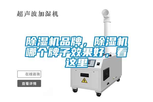 除濕機品牌，除濕機哪個牌子效果好，看這里