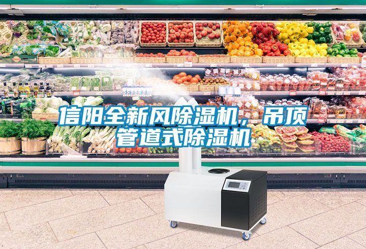 信陽全新風除濕機,吊頂管道式除濕機