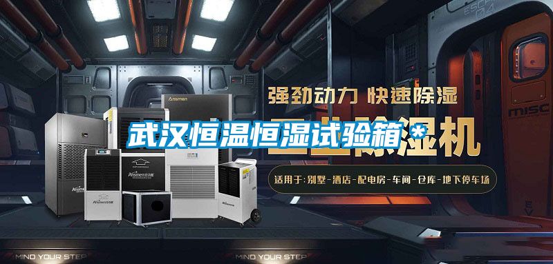 武漢恒溫恒濕試驗箱*