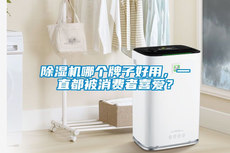 除濕機(jī)哪個牌子好用,一直都被消費(fèi)者喜愛?