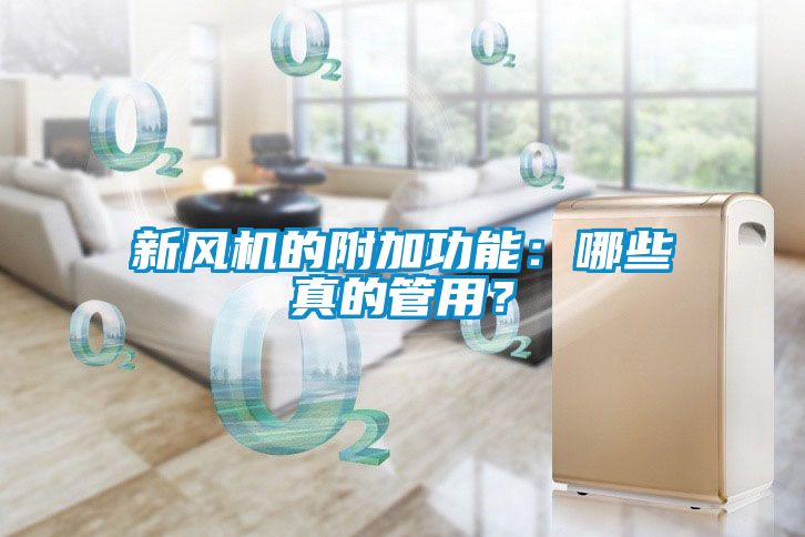 新風機的附加功能:哪些真的管用?