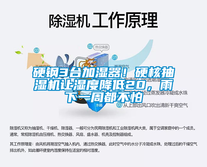 硬鋼3臺加濕器!硬核抽濕機讓濕度降低20,雨下一周都不怕