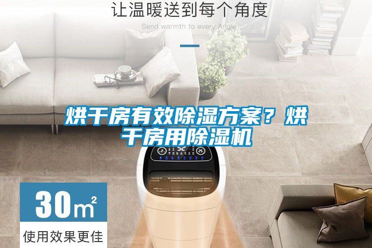 烘干房有效除濕方案?烘干房用除濕機(jī)