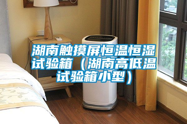 湖南觸摸屏恒溫恒濕試驗(yàn)箱(湖南高低溫試驗(yàn)箱小型)