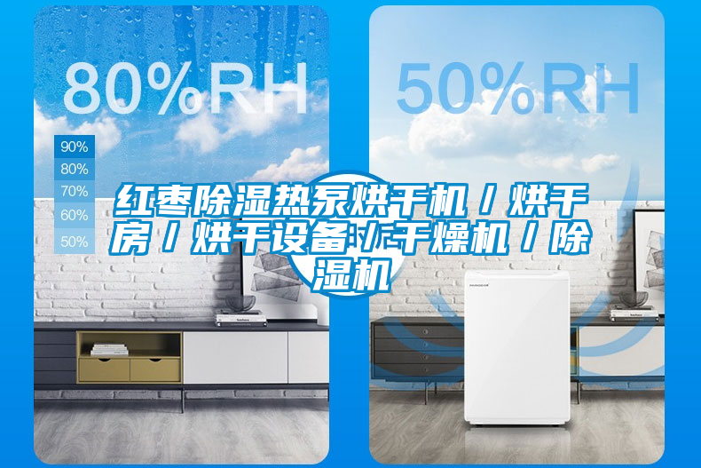 紅棗除濕熱泵烘干機/烘干房/烘干設備/干燥機/除濕機