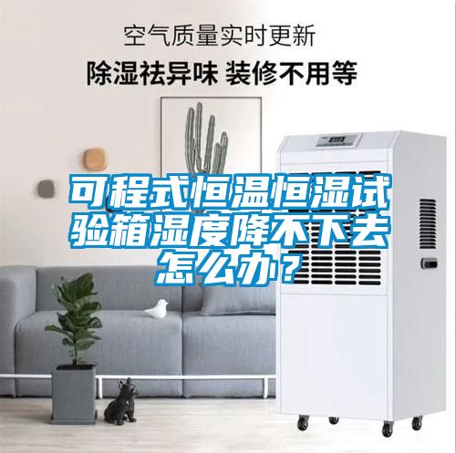 可程式恒溫恒濕試驗箱濕度降不下去怎么辦?
