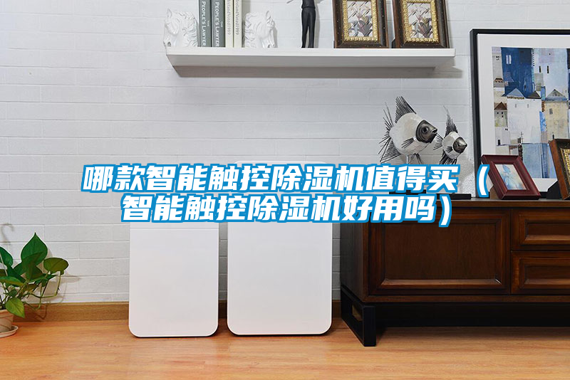 哪款智能觸控除濕機值得買(智能觸控除濕機好用嗎)