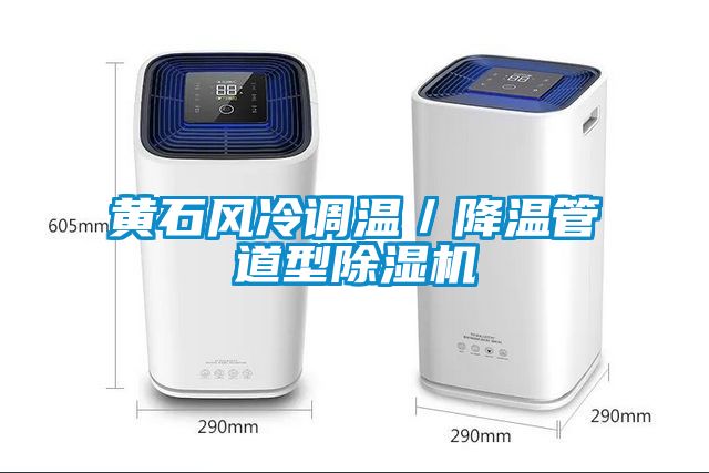 黃石風(fēng)冷調(diào)溫/降溫管道型除濕機