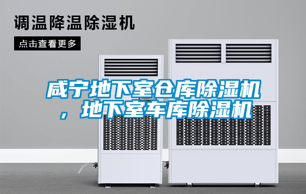 咸寧地下室倉庫除濕機(jī),地下室車庫除濕機(jī)