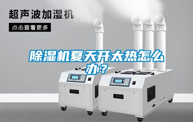 除濕機夏天開太熱怎么辦?