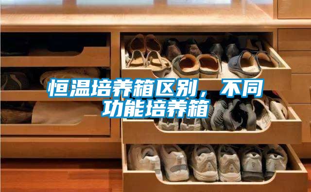 恒溫培養箱區別,不同功能培養箱
