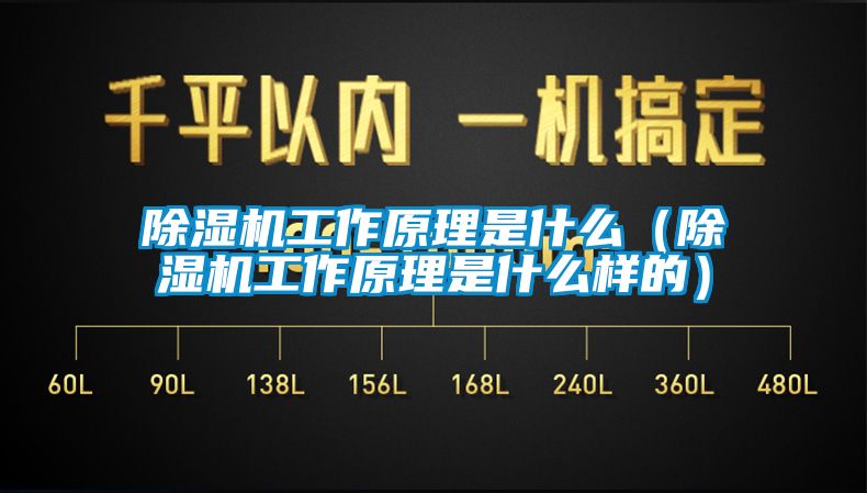 除濕機工作原理是什么(除濕機工作原理是什么樣的)