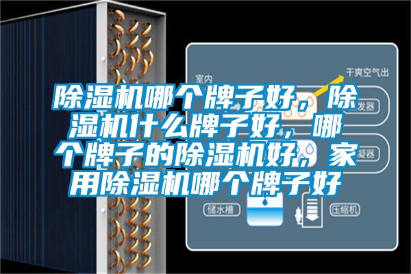 除濕機哪個牌子好，除濕機什么牌子好，哪個牌子的除濕機好，家用除濕機哪個牌子好