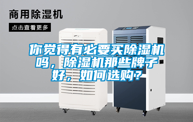 你覺得有必要買除濕機嗎,除濕機那些牌子好,如何選購?