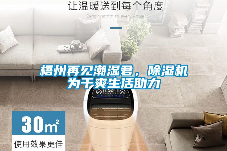 梧州再見潮濕君，除濕機為干爽生活助力