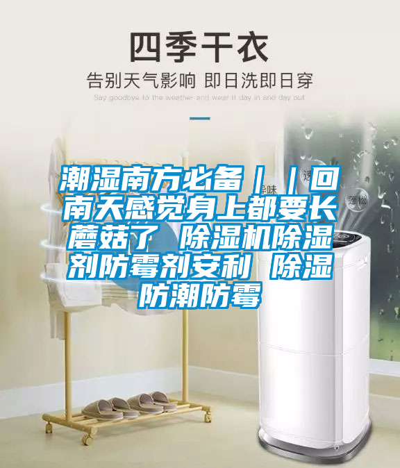 潮濕南方必備||回南天感覺身上都要長蘑菇了 除濕機除濕劑防霉劑安利 除濕防潮防霉