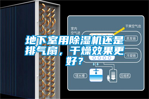 地下室用除濕機還是排氣扇,干燥效果更好?
