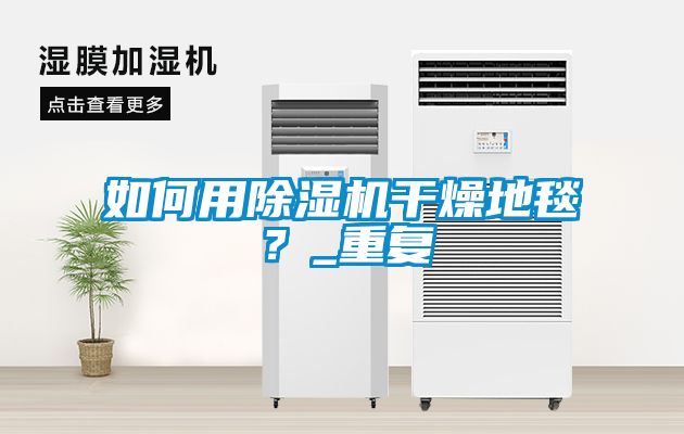 如何用除濕機干燥地毯?_重復