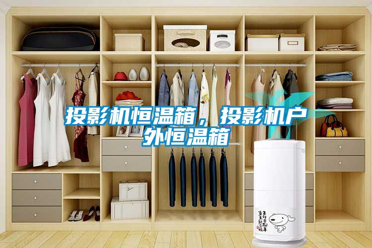 投影機恒溫箱,投影機戶外恒溫箱