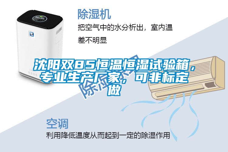 沈陽雙85恒溫恒濕試驗箱，專業(yè)生產(chǎn)廠家，可非標定做