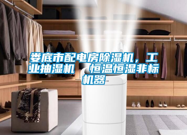 婁底市配電房除濕機,工業抽濕機  恒溫恒濕非標機器