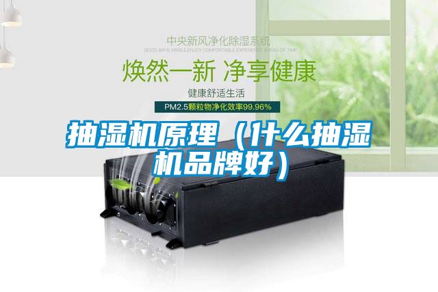 抽濕機原理(什么抽濕機品牌好)