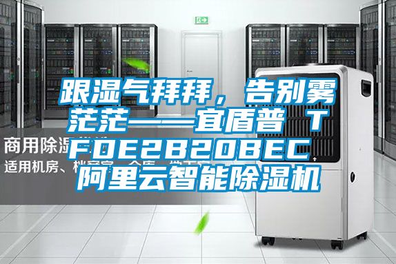 跟濕氣拜拜,告別霧茫茫——宜盾普 TFDE2B20BEC 阿里云智能除濕機(jī)