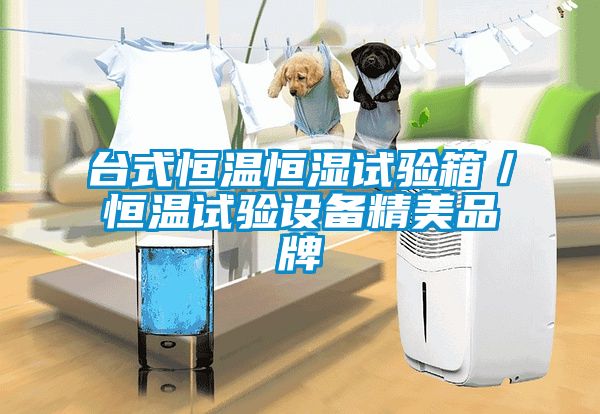 臺式恒溫恒濕試驗箱/恒溫試驗設備精美品牌