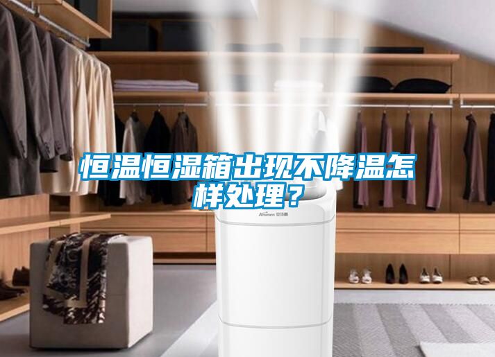 恒溫恒濕箱出現不降溫怎樣處理?