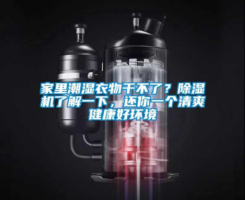 家里潮濕衣物干不了？除濕機了解一下，還你一個清爽健康好環境